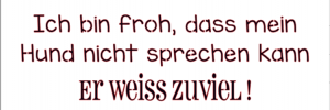 Hund / weiss zuviel