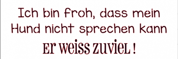 Hund / weiss zuviel