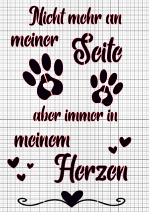 Nicht mehr an meiner Seite aber immer